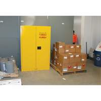 Armoire pour produits inflammables, 45 gal., 2 Porte(s), 43" La x 65" h x 18" p Cam Industrial