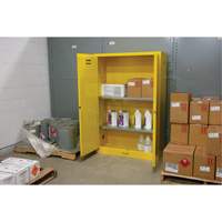 Armoire pour produits inflammables, 45 gal., 2 Porte(s), 43" La x 65" h x 18" p Cam Industrial