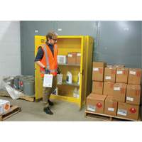 Armoire pour produits inflammables, 45 gal., 2 Porte(s), 43" La x 65" h x 18" p Cam Industrial