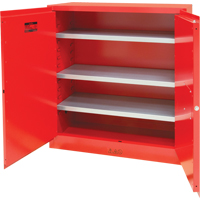 Armoire pour peintures et encres, 45 gal., 3 tablettes Cam Industrial