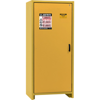 30-Minute EN Safety Storage Cabinet, 30 gal., 1 Door, 34.02" W x 76.65" H x 24.21" D Cam Industrial