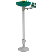 Axion&reg; Eye/Face Wash Station, Pedestal Installation, Plastic Bowl Cam Industrial