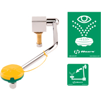 Eye/Face Wash Station, Sink Mount Installation Cam Industrial