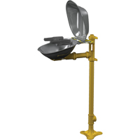 Postes de douche oculaire/faciale Halo, Installation Socle, Bol Acier inoxydable Cam Industrial