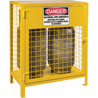 Gas Cylinder Cabinets, 2 Cylinder Capacity, 30" W x 17" D x 37" H, Yellow Cam Industrial
