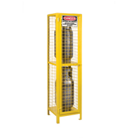 Gas Cylinder Cabinets, 2 Cylinder Capacity, 17" W x 17" D x 69" H, Yellow Cam Industrial