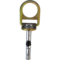 PRO Concrete D-ring Anchor with Bolt, Concrete/D-Ring, Permanent Use Cam Industrial