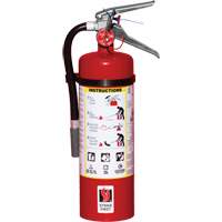 Fire Extinguisher, ABC, 5 lbs. Capacity Cam Industrial
