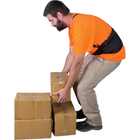 Support lombaire, &eacute;lastique, Petit Cam Industrial