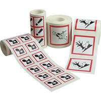 GHS Pictogram Labels, Vinyl, Roll, 4" L x 4" W Cam Industrial