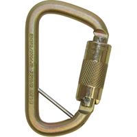Rollgliss™ Technical Rescue Offset D Fall Arrest Carabiner, Steel, 3600 lbs Capacity SEH168 | Cam Industrial