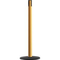 Advance TensaBarrier&reg; - Receiver Post, 36" High, Yellow Cam Industrial