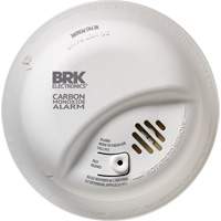 Carbon Monoxide Alarm Cam Industrial