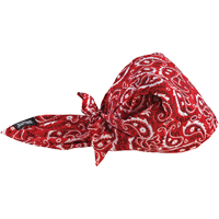 Bandeaux en triangle 6710CT de refroidissement en tissu de serviette Chill-Its, Rouge Cam Industrial