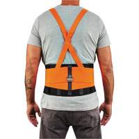 ProFlex 100HV Economy Spandex Hi-Vis Back Support Brace, Elastic, X-Small Cam Industrial