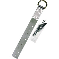 Miller&reg; Single Roof Anchor, D-Ring, Permanent Use Cam Industrial