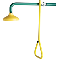 Lifesaver&reg; Emergency Overhead Showers, Wall-Mount Cam Industrial