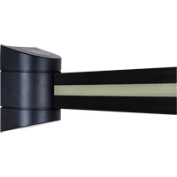 TensaBarrier&reg; Wall Mounted Units, Plastic, Screw Mount, 15', Black Tape Cam Industrial