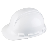 Casque de s&eacute;curit&eacute; Whistler de North, R&eacute;pond aux normes CSA type 1, Suspension Rochet, Non ventil&eacute; Cam Industrial