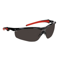 Dynamic Hawk Series Safety Glasses, Smoke Lens, Anti-Fog, ANSI Z87+/Meets/Exceeds CSA Z94.3 Cam Industrial