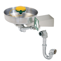 Axion<sup>®</sup> Eye/Face Wash Station, Wall-Mount Installation, Stainless Steel Bowl SGC270 | Cam Industrial