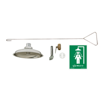 Concealed Drench Shower, Ceiling-Mount Cam Industrial