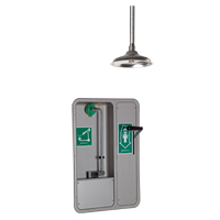 Eye/Face Wash and Shower, Ceiling-Mount Cam Industrial