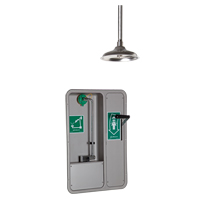 Eye/Face Wash and Shower, Ceiling-Mount SGC292 | Cam Industrial