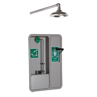 ADA Eye/Face Wash and Shower, Ceiling-Mount Cam Industrial