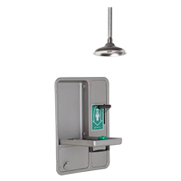 Eye/Face Wash and Shower, Ceiling-Mount Cam Industrial