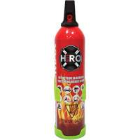 Fire Extinguisher, ABC/K, 2 lbs. Capacity SGC461 | Cam Industrial