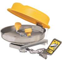 Eyewash Station, Wall-Mount Installation, Stainless Steel Bowl Cam Industrial