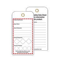 GHS Workplace Tags, Cardstock, 3" W x 6" H, English Cam Industrial