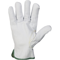 Gants r&eacute;sistant &agrave; la coupure et &agrave; l'arc &eacute;lectrique Endura, T-petit, 10" lo, 36 cal/cm², Niveau 3, NFPA 70E Cam Industrial