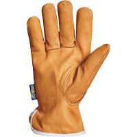 Endura&reg; Driver's Glove, Small, Grain Goatskin Palm, Thinsulate Inner Lining Cam Industrial