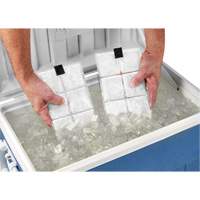 Sachets pour veste de refroidissement &agrave; changement de phase 6260 Chill-Its Cam Industrial
