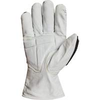 Gants r&eacute;sistant &agrave; la coupe et aux chocs Endura 378GKGVBE, 2T-Grand, Paume en Ch&egrave;vre, Poignet Conducteur Cam Industrial