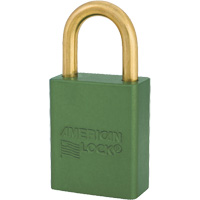 Cadenas Cam Industrial