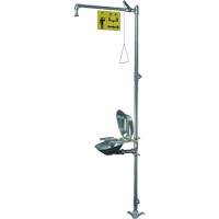 Halo Shower & Eye/Face Wash Unit, Pedestal Cam Industrial