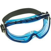 Safety Goggles