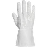 Ground Hog Electro-Static Spray Painting Gloves, Size Large, 11.5" L, Polyurethane Cam Industrial
