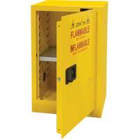 Flammable Storage Cabinet, 12 gal., 1 Door, 23" W x 35" H x 18" D Cam Industrial