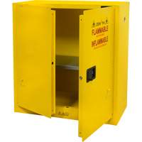 Armoire pour produits inflammables, 30 gal., 2 Porte(s), 43" La x 44" h x 18" p Cam Industrial