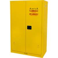 Armoire pour produits inflammables, 45 gal., 2 Porte(s), 43" La x 65" h x 18" p Cam Industrial