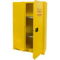 Armoire pour produits inflammables, 45 gal., 2 Porte(s), 43" La x 65" h x 18" p Cam Industrial