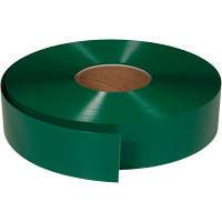 ArmorStripe&reg; Ultra Durable Floor Tape, 2" x 100', PVC, Green Cam Industrial