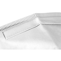 Respirateur jetable, N95, Certifi&eacute; NIOSH, Taille unique Cam Industrial