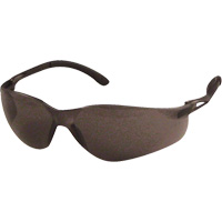 Lunettes de s&eacute;curit&eacute; Sen-Tec, Lentille Gris, Anti-&eacute;gratignures, R&eacute;pond ou surpasse la norme CSA Z94.3 Cam Industrial