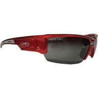 Lunettes de s&eacute;curit&eacute; Hartley, Lentille Gris, Polaris&eacute;, R&eacute;pond ou surpasse la norme CSA Z94.3 Cam Industrial