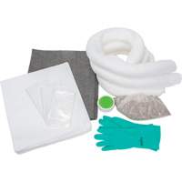 Spill Kit, Oil Only/Universal, Bag, 10 US gal. Absorbancy SGX529 | Cam Industrial